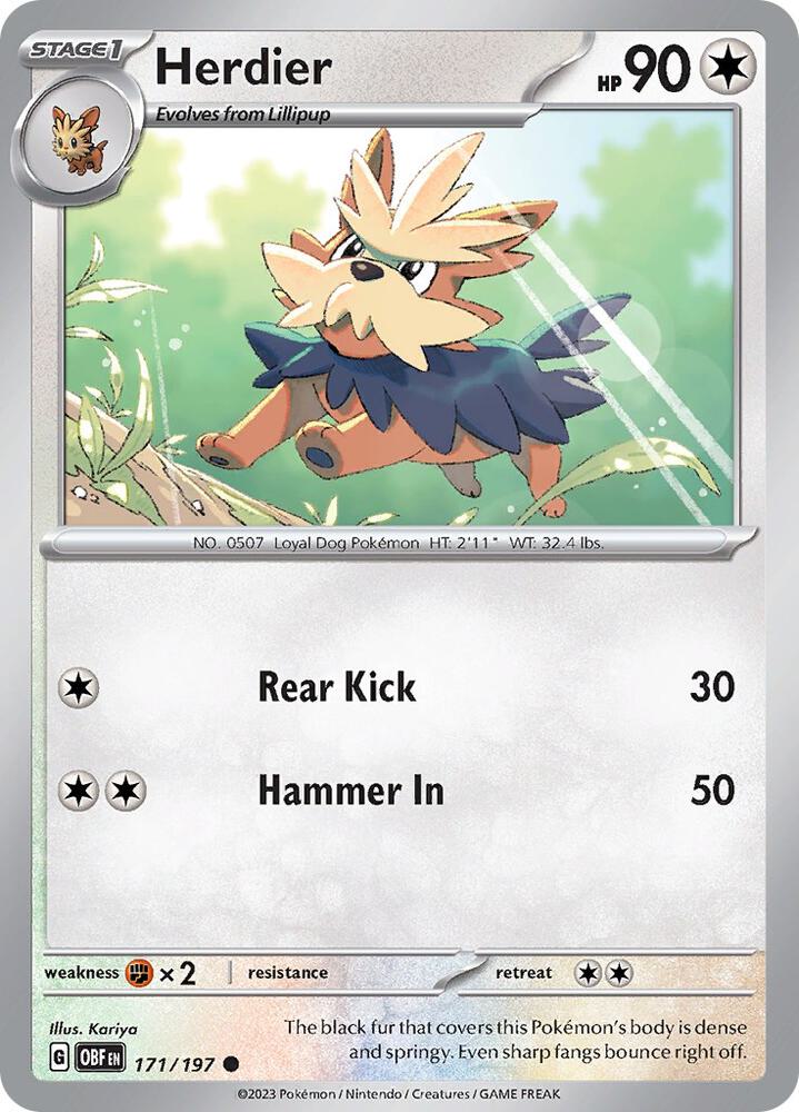 Pokemon Herdier 171/197 Obsidian Flames