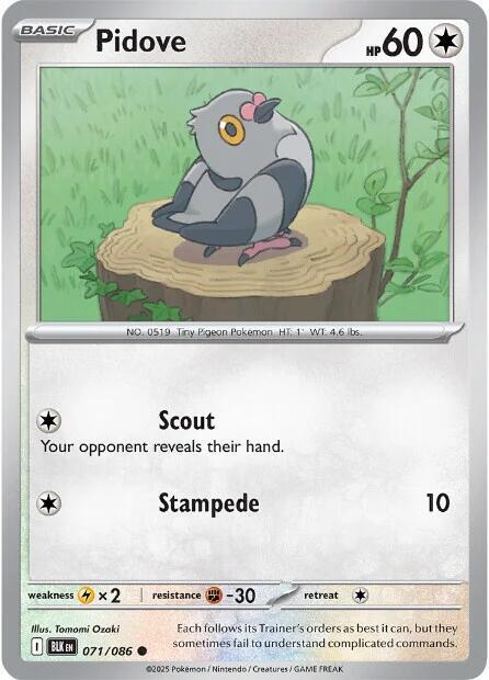 Pokemon Pidove 71/86 Black Bolt