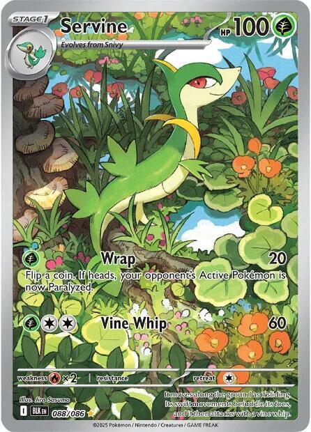 Pokemon Servine 88/86 Black Bolt