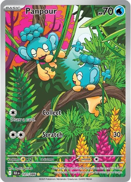 Pokemon Panpour 101/86 Black Bolt