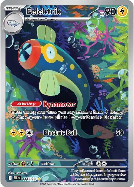Pokemon Eelektrik 114/86 Black Bolt