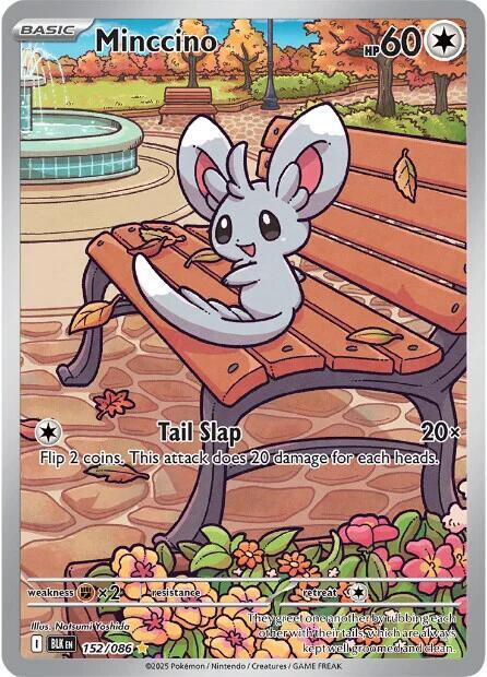 Pokemon Minccino 152/86 Black Bolt