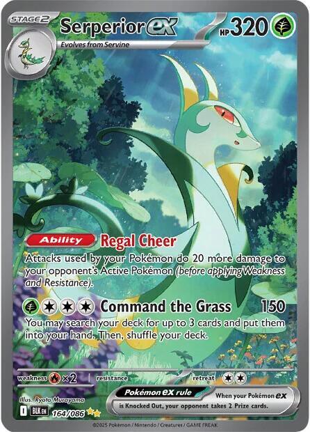 Pokemon Serperior Ex 164/86 Black Bolt