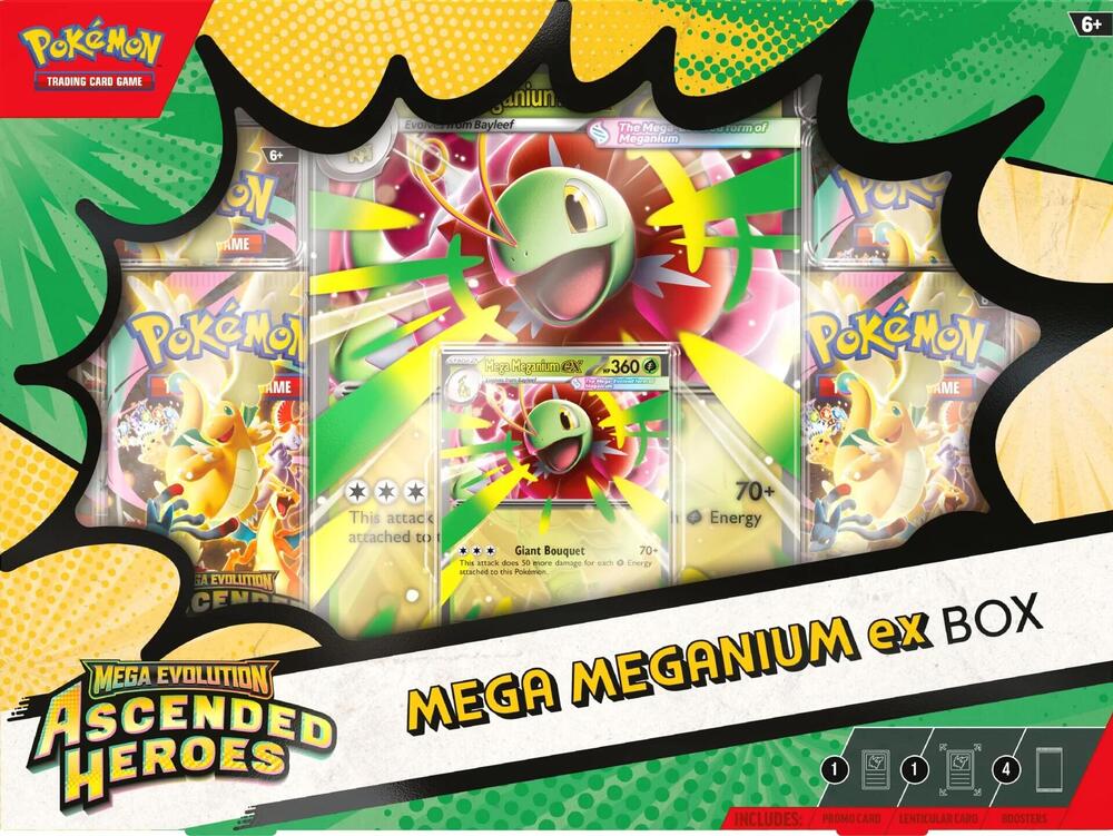 Pokemon Mega Meganium Ex Box