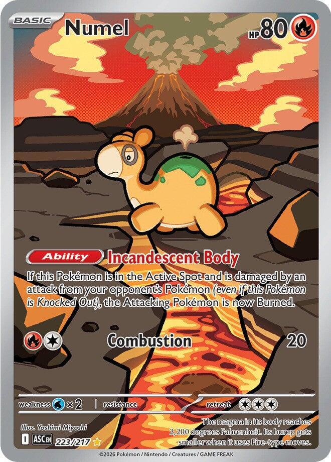 Pokemon Numel 223/217 Ascended Heroes
