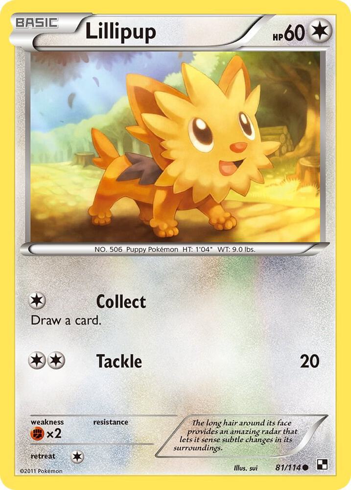 Pokemon Lillipup 81/114 Black & White