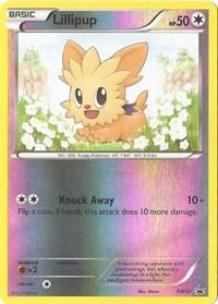 Pokemon Lillipup BW52 BW Black Star Promos