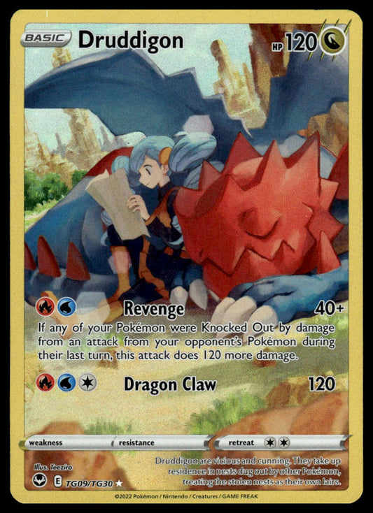 Pokemon TCG Druddigon #TG09/TG30 SWSH12: Silver Tempest Trainer Gallery