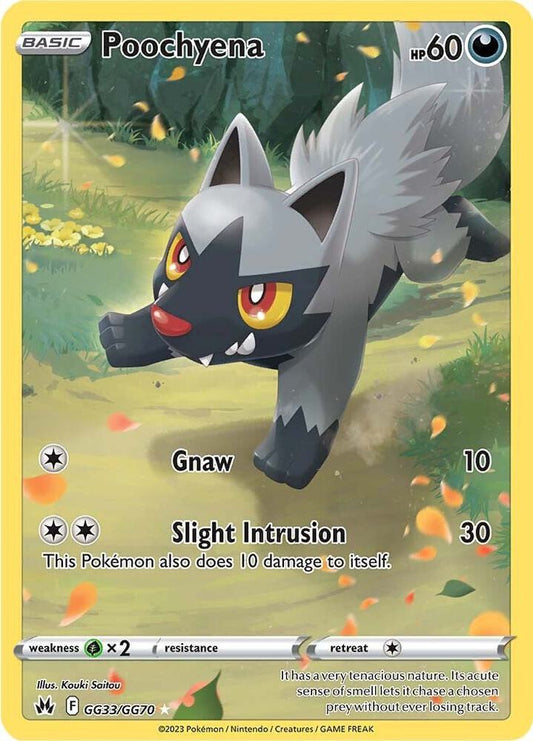 Pokemon Poochyena GG33/GG70 Crown Zenith