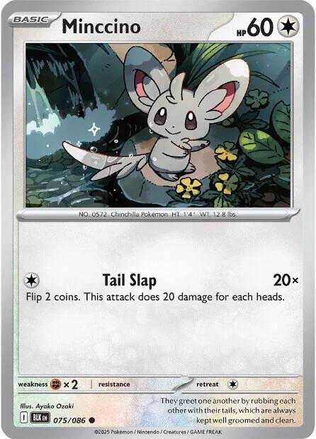 Pokemon Minccino (Poké Ball) 75/86 Black Bolt