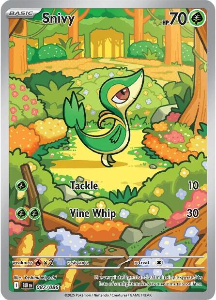 Pokemon Snivy 87/86 Black Bolt