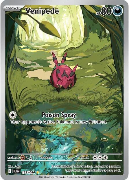 Pokemon Venipede 132/86 Black Bolt