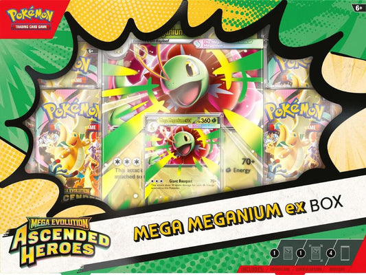 Pokemon Mega Meganium Ex Box