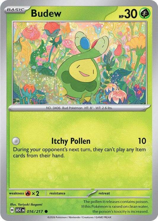 Pokemon Budew 16/217 Ascended Heroes