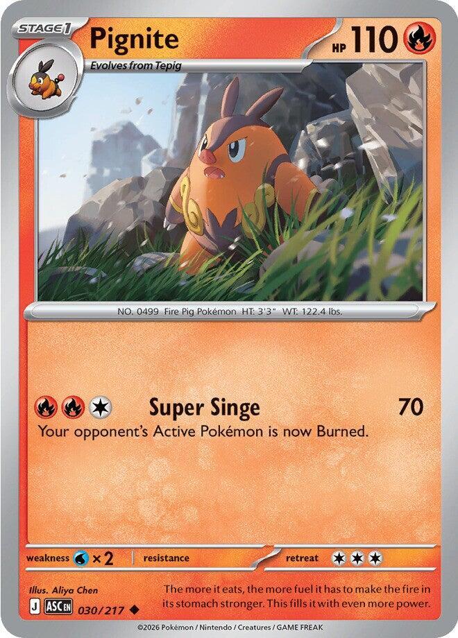 Pokemon Pignite 30/217 Ascended Heroes
