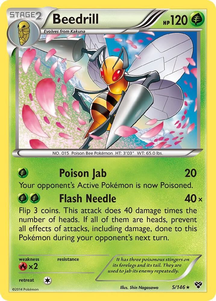 Pokemon Beedrill 5/146 XY
