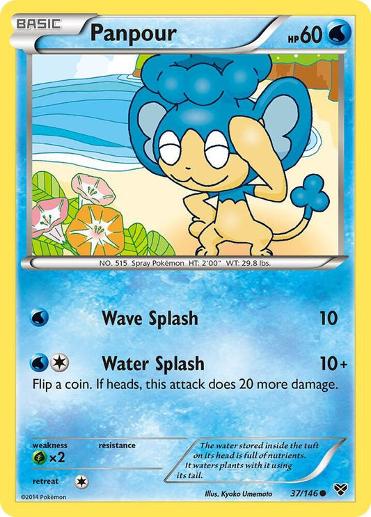 Pokemon Panpour 37/146 XY