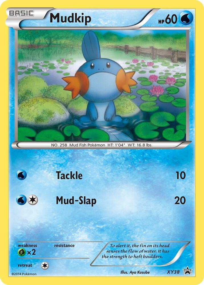 Pokemon Mudkip XY38 XY Black Star Promos