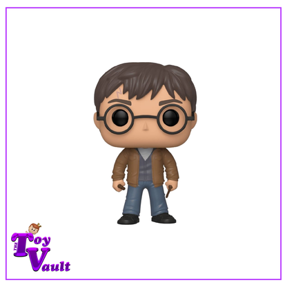 Funko Pop! Movies Harry Potter - Harry Potter with 2 Wands #118 Barnes and Noble Exclusive